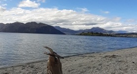 20201008_160328