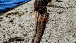 20201008_161758